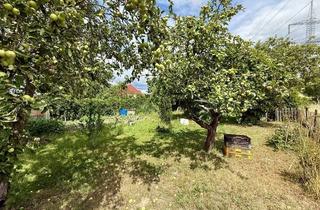 Grundstück zu kaufen in 16356 Ahrensfelde, PROVISIONSFREI | Zentrumsnahes Baugrundstück nahe Berlin – ruhig wohnen, zentral erreichbar!