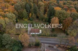 Grundstück zu kaufen in 44265 Wichlinghofen, Waldrandgrundstück mit Perspektive