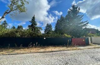 Grundstück zu kaufen in 14532 Stahnsdorf, Großzügig angelegtes, begrüntes Grundstück für Wohnbebauung in Stahnsdorf