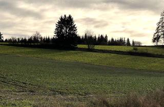 Grundstück zu kaufen in 86494 Emersacker, Ackerland, gesamt ca. 1,43 ha 30 km nord-westlich von Augsburg!