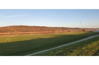 Grundstück zu kaufen in 21395 Tespe, Exklusives Baugrundstück mit seltenem Altbestand – einmalige Gelegenheit in direkter Wasserlage