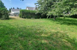 Grundstück zu kaufen in 69436 Schönbrunn, Außergewöhnliches Baugrundstück mit 1.277 m² Fläche