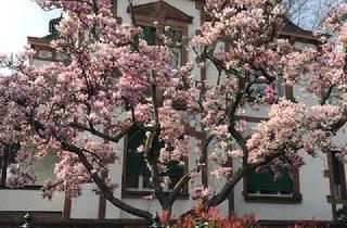 Büro zu mieten in 64625 Bensheim, Gewerbliche Bürofläche in Altbauvilla in Bensheim