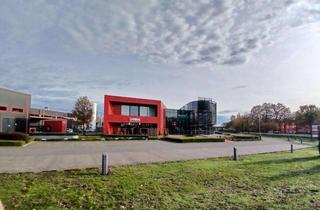 Büro zu mieten in Artegastraße, 33129 Delbrück, Büroräume ab 01.01.2026 langfristig zu vermieten