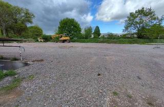 Gewerbeimmobilie mieten in Grenzstraße 15, 76744 Wörth, Videoüberwachtes Grundstück ca. 2000m²