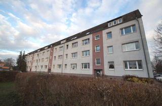 Wohnung mieten in Nordring 10, 04886 Beilrode, 3-Zimmer-Wohnung mit separater Küche und Badewanne, renoviert, ab sofort