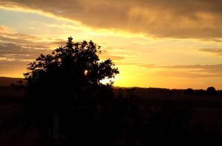 Wohnung mieten in Wiesenstraße 36, 30989 Gehrden, Charmante 2-Zimmer Wohnung, modernisiert, in Gehrden / Redderse