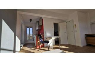 Wohnung mieten in 64295 Darmstadt, 1-ZKB (Mit Penthaus-Elementen) möbliert, umlaufender Terrasse/Balkon -Nähe Ingelheimer Garten