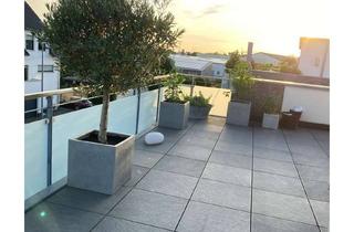 Wohnung mieten in Albrecht-Dürer-Allee 71, 41569 Rommerskirchen, Helle 3-Zimmer Dachgeschosswohnung mit Terrasse in Rommerskirchen