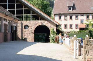 Wohnung mieten in Zum Roßbacher Hof 30, 64711 Erbach, Bett und Box