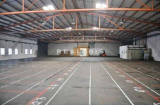 Gewerbeimmobilie mieten in 29227 Celle, Celle, Hallenflächen mit ca. 3.033 m² zu vermieten