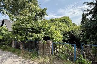 Grundstück zu kaufen in 13059 Wartenberg, -LDIMMOBILIEN.DE- Hier wächst ihr neues Heim - bauträgerfrei