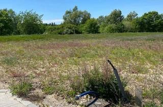 Grundstück zu kaufen in 18258 Schwaan, Großes Grundstück Ostsee-nah