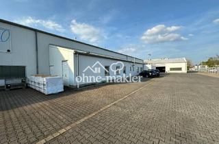 Büro zu mieten in Wierlings Busch 63, 48249 Dülmen, Gewerbehalle Lagerhalle mit Büro in Dülmen zur Miete 800 m²