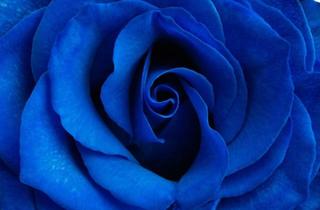 Wohnung kaufen in 84478 Waldkraiburg, Waldkraiburg - Wohnung in Waldkraiburg zu verkaufen-zentrale Lage, Hunde erlaubt