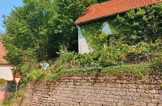 Haus kaufen in 66957 Ruppertsweiler, Ruppertsweiler - Haus mit Grundstück 830qm, 40qm Wohnfläche