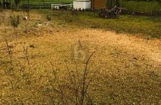 Grundstück zu kaufen in 23689 Pansdorf, Pansdorf - PERFEKT FÜR FAMILIEN UND OSTSEELIEBHABER