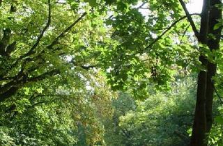 Wohnung kaufen in 82166 Gräfelfing, Neuwertige Wohnung nahe Lochham/Stadtpark Pasing