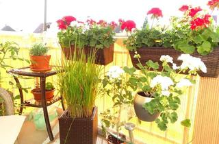 Wohnung kaufen in 01640 Coswig, Gemütliche 3-Zimmer-Eigentumswohnung für Ihre Familie oder als Kapitalanlage