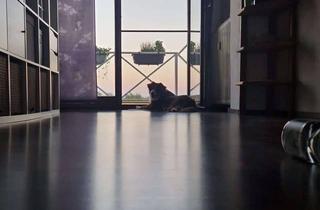 Wohnung mieten in Im Burggarten 11, 35410 Hungen, Moderne 3-Zimmer Dachgeschosswohnung in Hungen