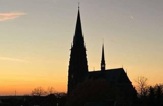 Penthouse mieten in 41366 Schwalmtal, Exklusives Penthouse mit 2 Zimmern und Dachterrasse in Schwalmtal