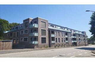 Wohnung mieten in Brunnenstraße 26, 25524 Itzehoe, Neuwertige Single-Wohnung im Herzen der Stadt