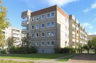 Wohnung mieten in Muldstr. 79, 06844 Innenstadt, Große 4-Raum-Wohnung im Zentrum der Stadt