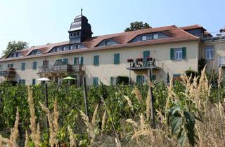 Wohnung mieten in Obere Bergstr. 65b, 01445 Radebeul, Sehr schöne 4 Zimmer Maisonettwohnung, Terrasse, 2 Bäder, Wanne u. Dusche, ASR, SP