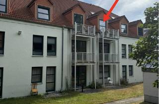 Wohnung mieten in Buchenlochstraße 66 b, 67663 Innenstadt, Studentenapartment fußläufig zur RPTU - KL