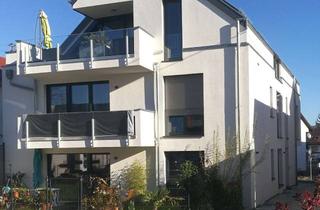 Wohnung mieten in Augasse, 69207 Sandhausen, 3 Zi-Whg. 1. OG mit EBK und großem Südwestbalkon (Baujahr Ende 2019)