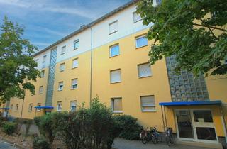 Wohnung mieten in Rosenhof, 64560 Riedstadt, Gepflegte 3 Zimmer Wohnung in Riedstadt Goddelau