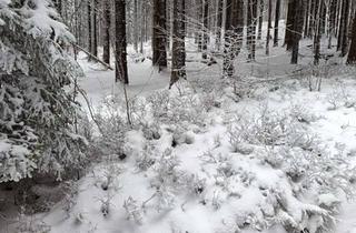 Haus kaufen in 01814 Reinhardtsdorf, Bauen soll Spaß machen