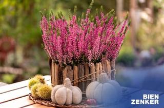 Haus kaufen in 01458 Ottendorf-Okrilla, Ihr Traumhaus in Ottendorf-Okrilla