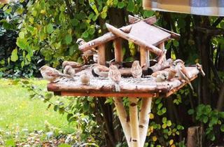 Haus kaufen in 15910 Schönwald, Bien-Zenker: Ihr individuelles Traumhaus