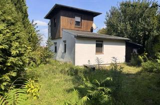 Haus kaufen in Bad Schmiedeberger Straße 29a, 06905 Pretzsch, Kleine Immobilie in Pretzsch zu verkaufen