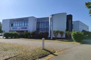 Gewerbeimmobilie kaufen in Stöhrerstraße 22, 04347 Leipzig, Repräsentative Gewerbeimmobilie mit Showroom, Aufzug und Erweiterungsgrundstück zu verkaufen