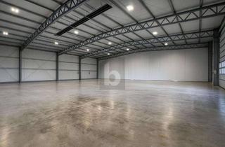 Gewerbeimmobilie mieten in 87746 Erkheim, LICHTDURCHFLUTET, PERFEKT FÜR PRODUKTION & LAGER