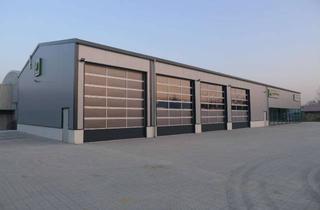 Büro zu mieten in Egelsee 11, 93354 Siegenburg, Halle mit Werkstatt, Lager, Büro und großem Außenbereich - Ideal für Handel, Handwerk und Logistik