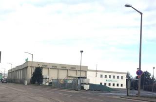 Gewerbeimmobilie kaufen in Bellstraße, 92421 Schwandorf, Lagerhalle mit Grundstück zu verkaufen