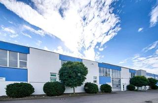 Büro zu mieten in 89257 Illertissen, Wunschmietfläche gesucht? 444 m² Halle mit Büros/Verwaltung (Erweiterung auf insgesamt 752 m²)