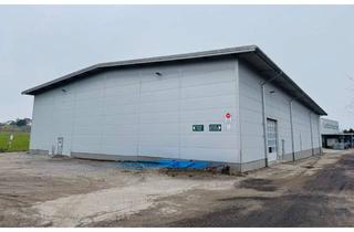 Gewerbeimmobilie kaufen in 83109 Großkarolinenfeld, Gewerbeensemble mit zwei Hallen und Büro – vielseitig nutzbarer Standort nahe Rosenheim