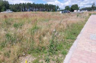 Grundstück zu kaufen in An Tilzow, 18528 Bergen, Ihr Zuhause in ruhiger Lage - Grundstück in Bergen auf der Ostseeinsel Rügen