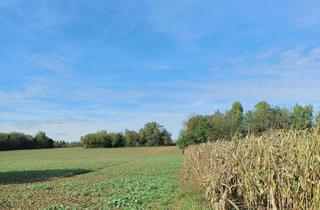 Grundstück zu kaufen in 76684 Östringen, Grundstück mit Zukunftsperspektive - starten Sie Ihr Bauprojekt ab 2026