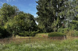 Grundstück zu kaufen in 14776 Neustadt, Bauen Sie sich Ihr Schloss - Eigene Scholle