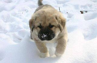 Grundstück zu kaufen in 14548 Schwielowsee, Herzlich Willkommen in Caputh