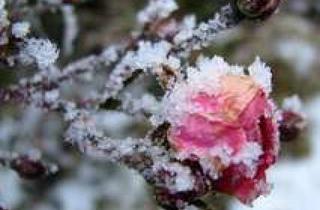 Grundstück zu kaufen in 14772 Altstadt, Ihr Grundstück nah am Quenzsee