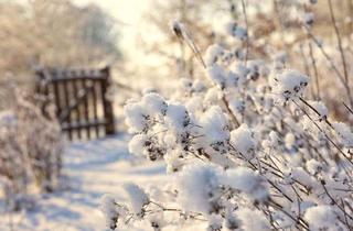 Grundstück zu kaufen in 12309 Lichtenrade, Großes Baugrundstück in Lichtenrade, kein Abriss und unter dem Bodenrichtwert