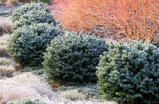 Grundstück zu kaufen in 14552 Michendorf, Greifen Sie zu, bevor es weg ist – Baugrundstück in Stücken