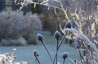 Grundstück zu kaufen in 12309 Lichtenrade, Herzlich Willkommen in Lichtenrade