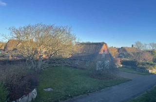 Grundstück zu kaufen in 25938 Oldsum, seltene Gelegenheit: Grundstück in Oldsum